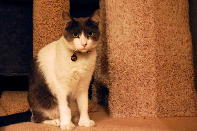 20080630 - Elliot