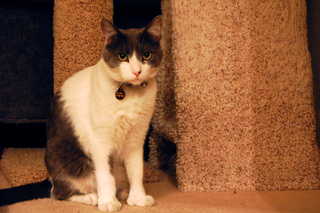 20080630 - Elliot