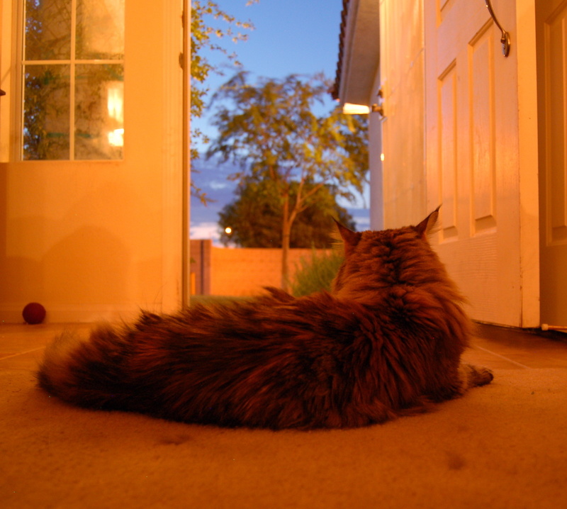 20080713 - Outside Potential