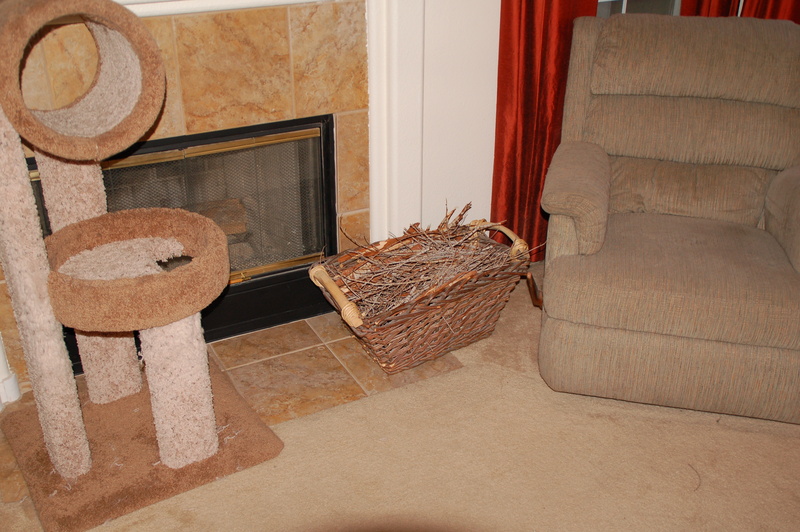 20080831 - Real Firewood!