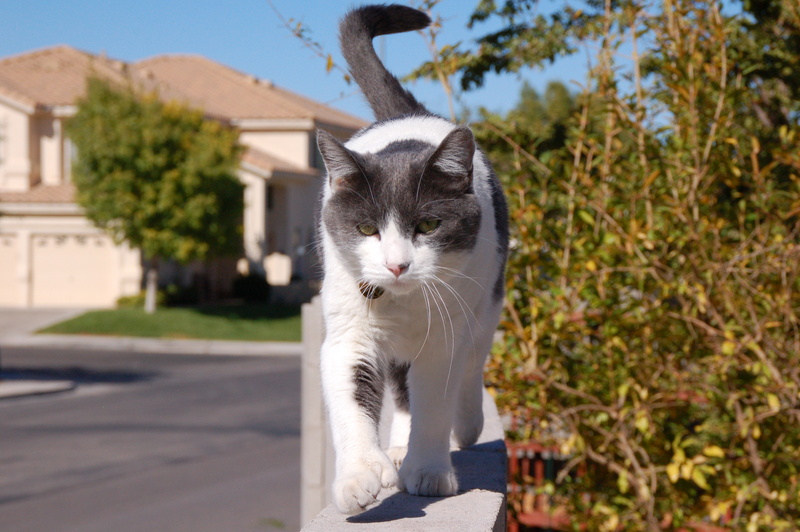 DSC_3291.JPG