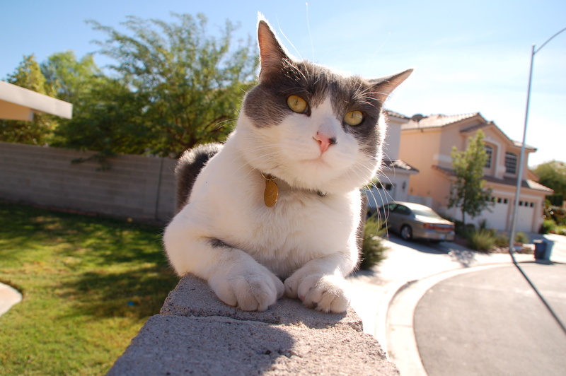 DSC_3315.JPG