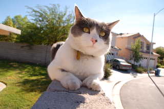 DSC_3315.JPG