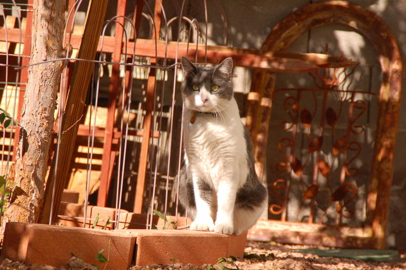 DSC_3330.JPG