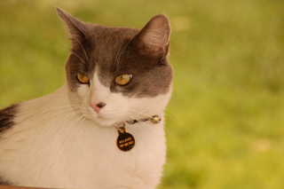 Elliot Posing