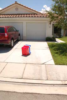 What the heck is this on my driveway?