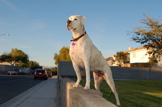 20091008 Neighborhood Watch