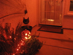 Front door (orange and UV controlled lighting)
