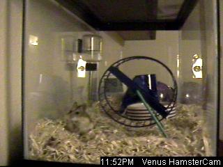 WebCam Capture